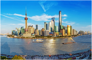 上海市社会保险事业管理中心实物资产管理及变现专项法律服务